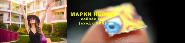твердый Аркадак