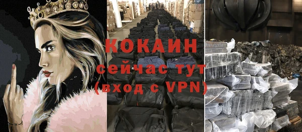 твердый Аркадак
