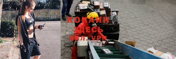 спиды Армянск
