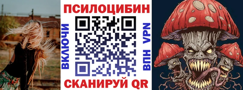 наркошоп  mega зеркало  Галлюциногенные грибы Psilocybine cubensis  Починок 